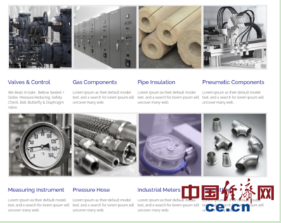 巴基斯坦閥門制造業的生存困境 國際物流成本飆升十倍，原材料價格劇烈波動